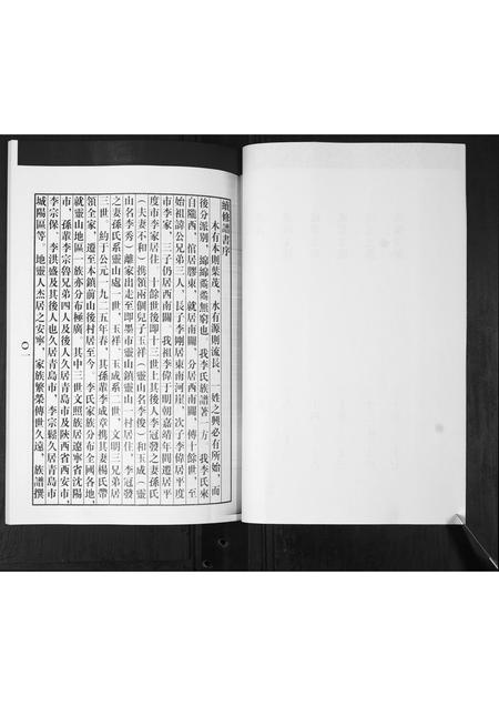山东李氏-李氏家谱.pdf电子版插图4