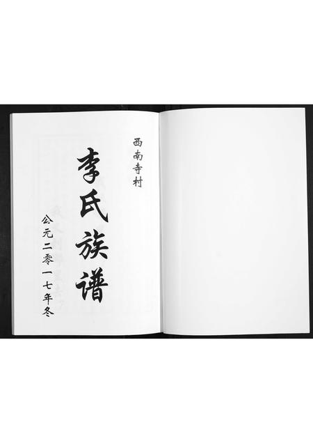 山东李氏-李氏家谱.pdf电子版插图1