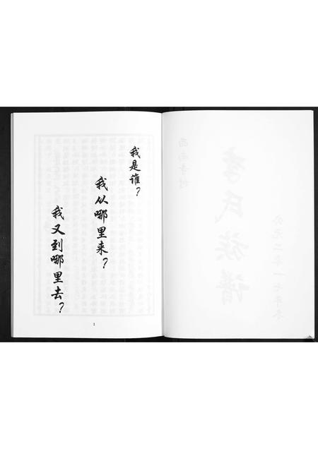 山东李氏-李氏家谱.pdf电子版插图2