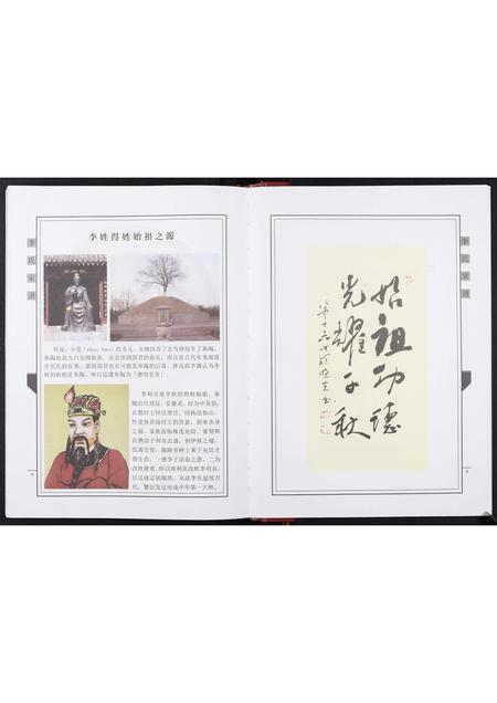 山东李氏-李氏家谱[不分卷].pdf电子版插图5