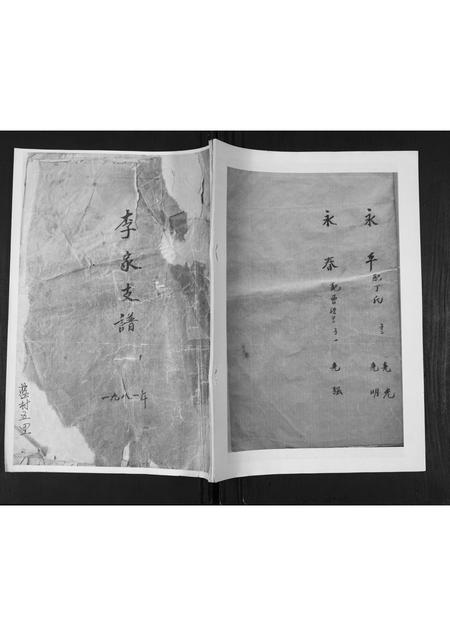 山东李氏-李氏支谱.pdf电子版插图