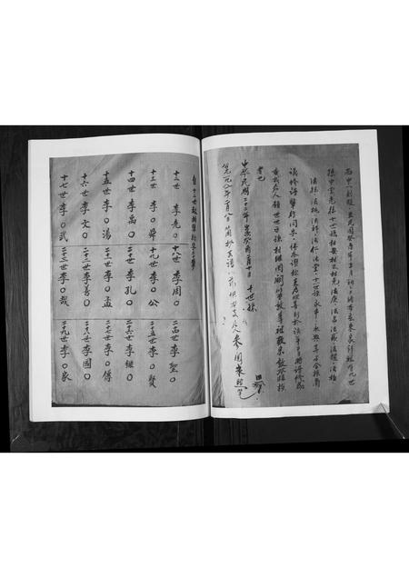 山东李氏-李氏支谱.pdf电子版插图2