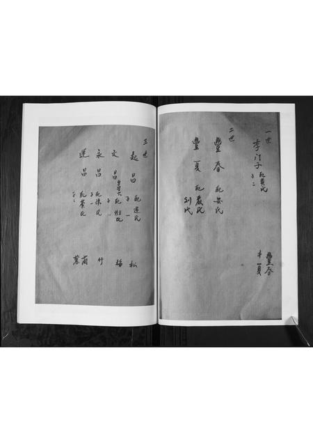 山东李氏-李氏支谱.pdf电子版插图4