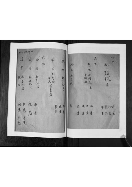 山东李氏-李氏支谱.pdf电子版插图5