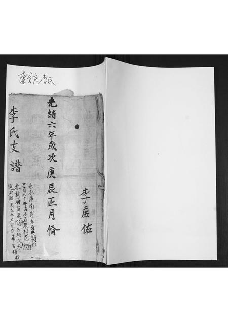 山东李氏-李氏支谱.pdf电子版插图