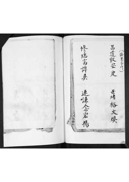 山东李氏-李氏支谱.pdf电子版插图2
