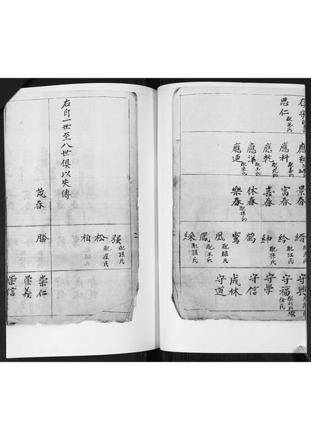 山东李氏-李氏支谱.pdf电子版插图4