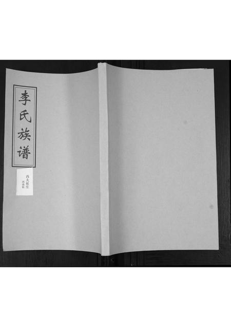 山东李氏-李氏支谱.pdf电子版插图