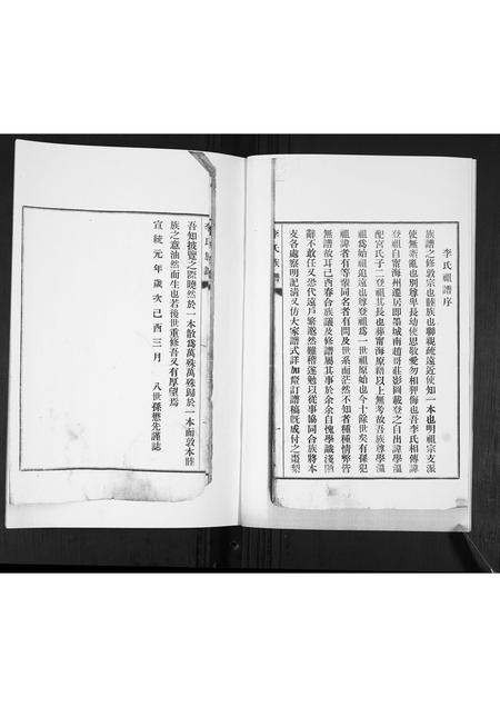 山东李氏-李氏支谱.pdf电子版插图3