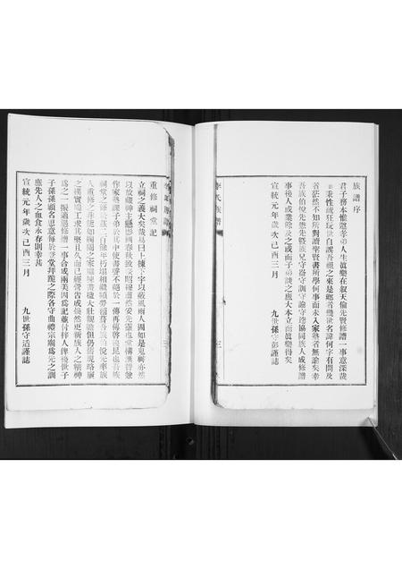 山东李氏-李氏支谱.pdf电子版插图5