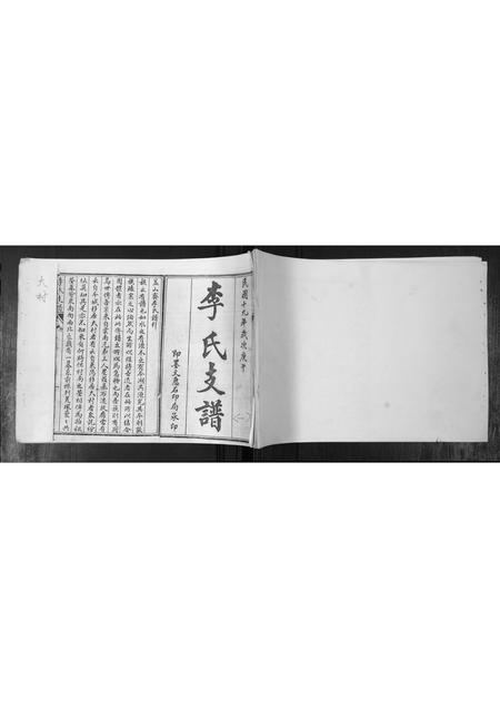 山东李氏-李氏支谱.pdf电子版插图