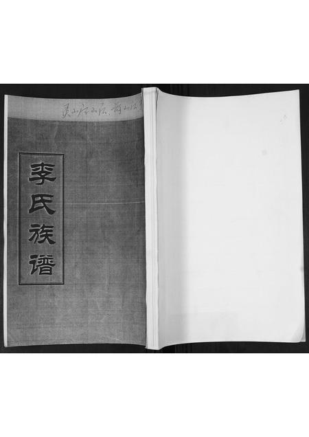 山东李氏-李氏族谱.pdf电子版插图