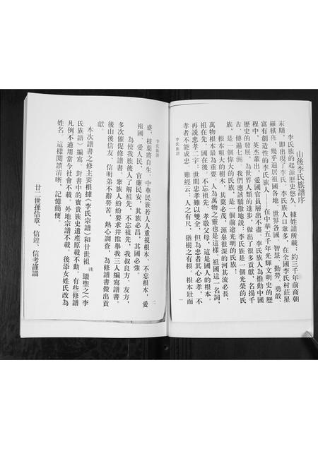 山东李氏-李氏族谱.pdf电子版插图4