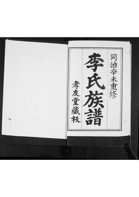 山东李氏-李氏族谱.pdf电子版插图3