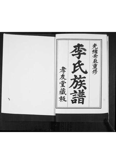 山东李氏-李氏族谱.pdf电子版插图4