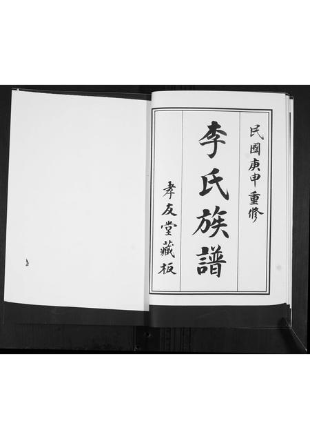 山东李氏-李氏族谱.pdf电子版插图5