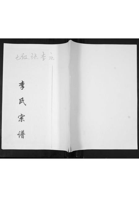 山东李氏-李氏族谱.pdf电子版插图