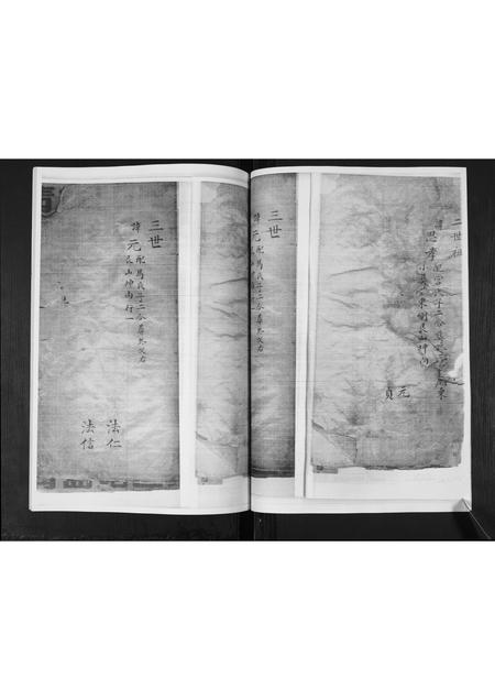 山东李氏-李氏族谱.pdf电子版插图3