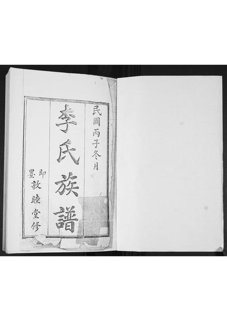 山东李氏-李氏族谱.pdf电子版插图1