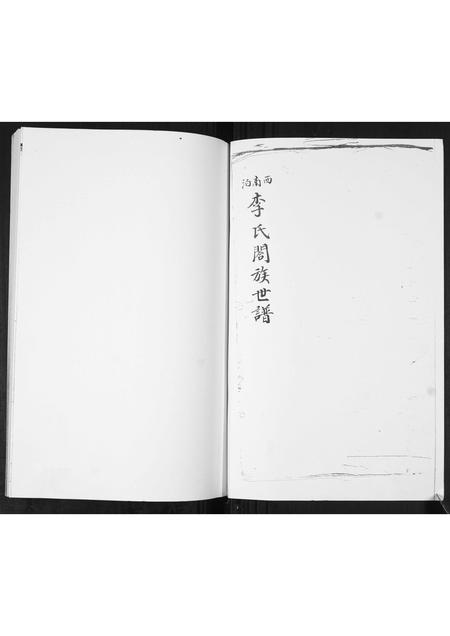 山东李氏-李氏族谱.pdf电子版插图1