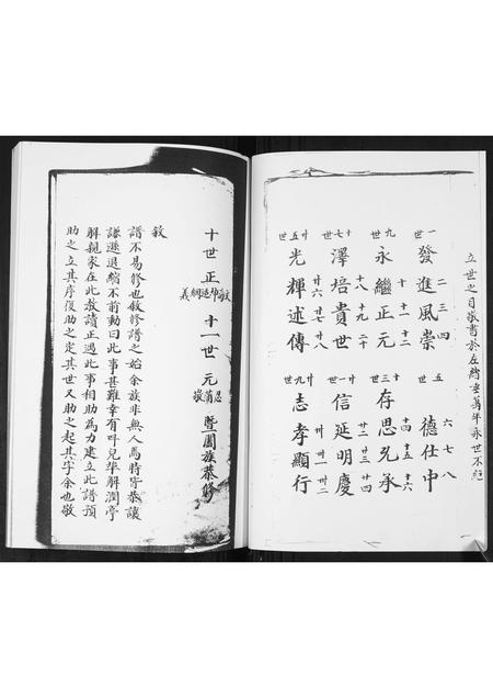 山东李氏-李氏族谱.pdf电子版插图4