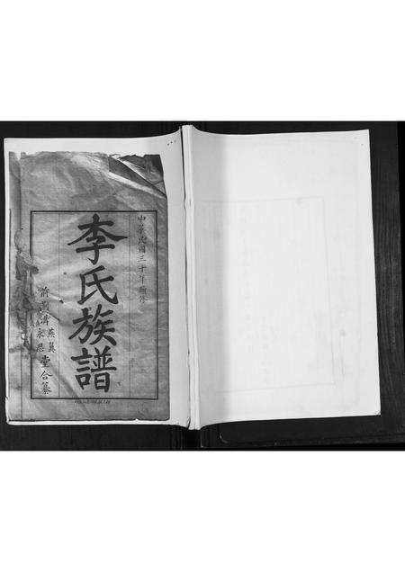 山东李氏-李氏族谱.pdf电子版插图
