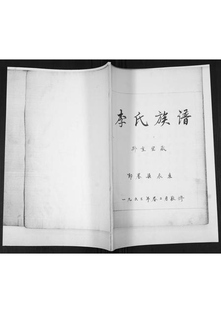 山东李氏-李氏族谱.pdf电子版插图