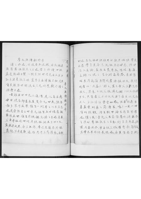 山东李氏-李氏族谱.pdf电子版插图2