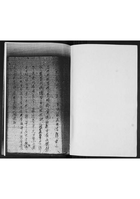 山东李氏-李氏族谱.pdf电子版插图1