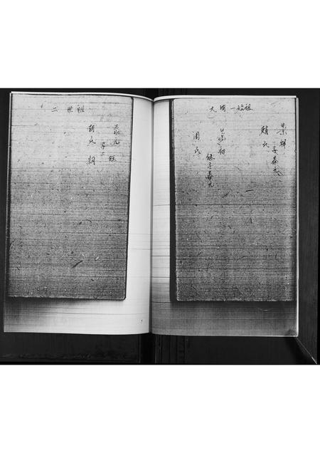 山东李氏-李氏族谱.pdf电子版插图4