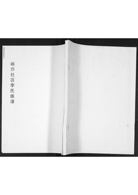 山东李氏-李氏族谱.pdf电子版插图