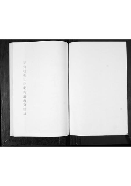 山东李氏-李氏族谱.pdf电子版插图1