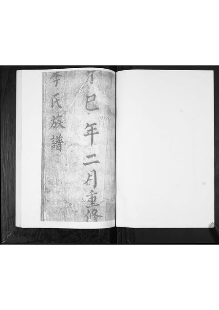 山东李氏-李氏族谱.pdf电子版插图2