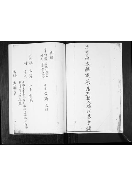 山东李氏-李氏族谱.pdf电子版插图4