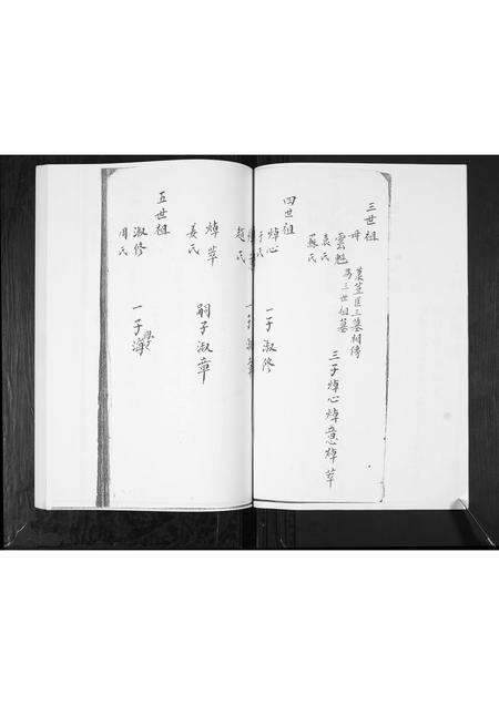山东李氏-李氏族谱.pdf电子版插图5