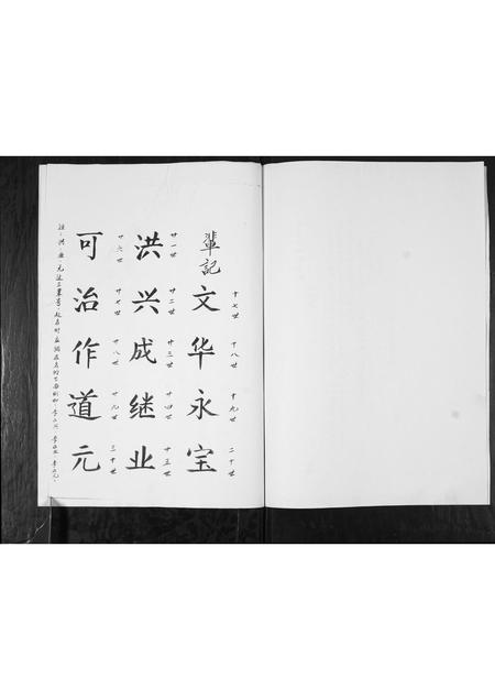 山东李氏-李氏族谱.pdf电子版插图2