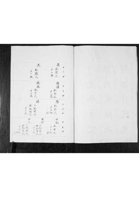 山东李氏-李氏族谱.pdf电子版插图3