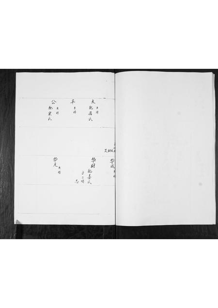 山东李氏-李氏族谱.pdf电子版插图5