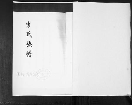 山东李氏-李氏族谱.pdf电子版插图1