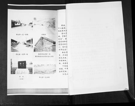 山东李氏-李氏族谱.pdf电子版插图4