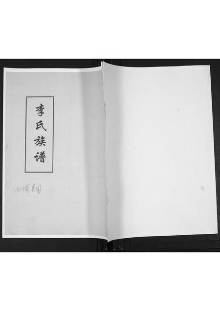 山东李氏-李氏族谱.pdf电子版插图