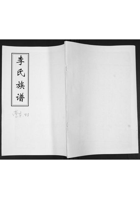 山东李氏-李氏族谱.pdf电子版插图