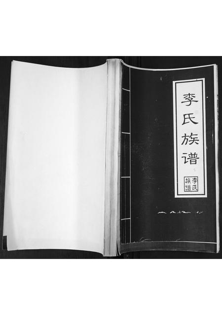 山东李氏-李氏族谱.pdf电子版插图