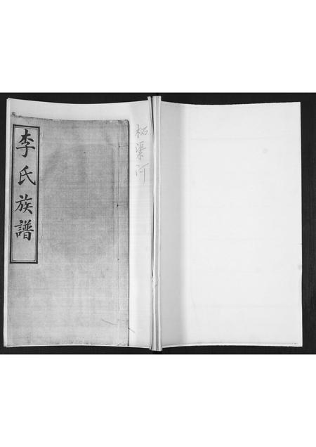 山东李氏-李氏族谱.pdf电子版插图