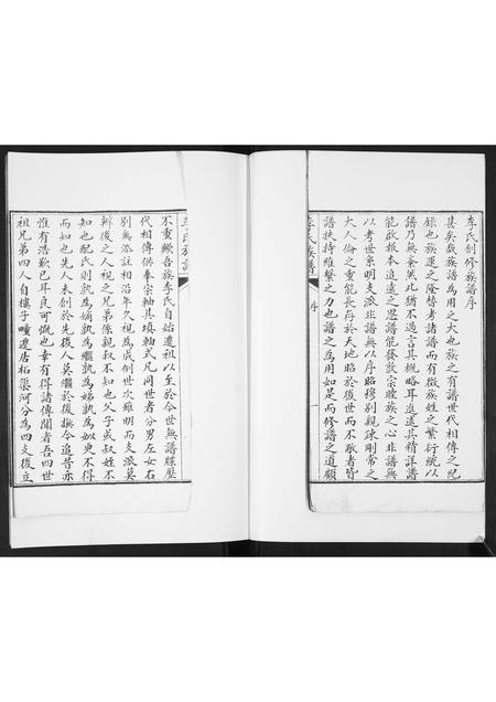 山东李氏-李氏族谱.pdf电子版插图2