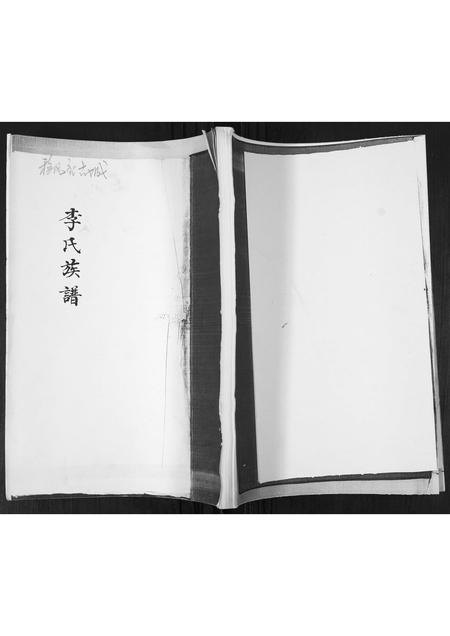 山东李氏-李氏族谱.pdf电子版插图