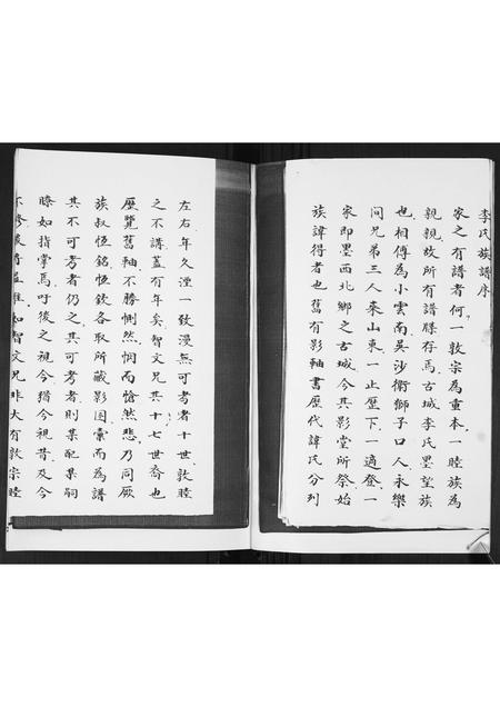 山东李氏-李氏族谱.pdf电子版插图1