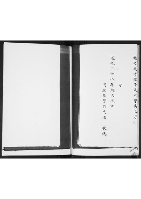 山东李氏-李氏族谱.pdf电子版插图2
