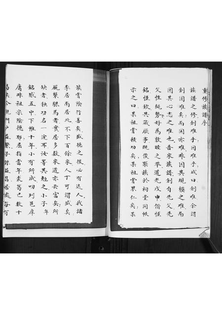 山东李氏-李氏族谱.pdf电子版插图3