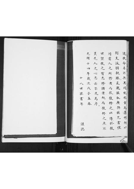 山东李氏-李氏族谱.pdf电子版插图4